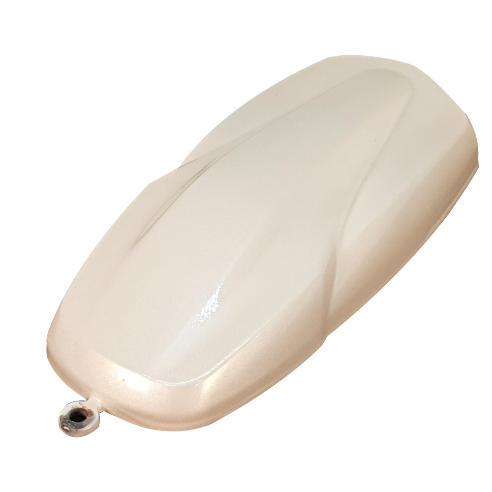 프로텍트 LC1X-01 Silver Pearl (실버펄) 메탈릭 고무 코팅제